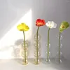 Vaser sfäriska konstblommor ornament nordisk kreativ glas bubbla vas dekoration hem födelsedagspresent