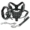 Hundhalsar Leases Spiked Studded Leather Pet Collar Harness Leash 3st.