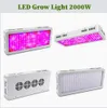 Światła uprawy pełnego widma 300/600/800/900/1000/1200/1800/2000W LED LED Light 410-730NM dla roślin wewnętrznych i namiot hodowlania szklarni kwiatowych