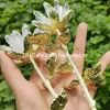 Высокие вибрации натуральные ясные Quartz Point Flower Gifts Healmanting Floral White Crystal Rock Stone Stone Druzy Cluster Mineral Образец украшения дома украшение