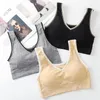 Traje de yoga Sujetador deportivo para mujeres Gimnasio Belleza Tubo negro Top Antideslumbrante Sin anillo de acero Tallas grandes Ropa interior Bras