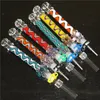 Nectar Straw Dab Pens With Titanium Nails Glass Hand Bongs Heady Water Pipes Multi Colors Smoking Pipe
