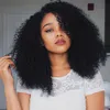 250% Density Afro Kinky Curly Human Hair Wigs 13x4 Transparent Lace Frontal Wigs For Women 4x4 Closure Wig Pre-Plucked Full End