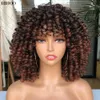 14 Parrucca riccia afro crespa con frangia Parrucche sintetiche corte per donne nere Ombre marrone biondo Glueless Capelli Cosplay Dailyfactory