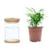 Vaser 1 PC Hydroponic Plant Plastic Vase Selfabsorbering Water Pot Office Tablett Feng Shui Transparenta Bottle Ornament 2023