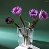 Vases créatifs vase en verre transparent ornements salon arrangement de fleurs frais et sec mettre en œuvre table de dîner de chambre à coucher