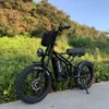 Vélo électrique Freego Fat Tire 20 '' 1200W E Bike tout-terrain avec batterie amovible 48V 20Ah 30 Miles Max Speed Vélos électriques Vélo électrique urbain