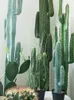 Fiori decorativi Decorazioni per la casa nordica Pianta simulata Cactus Decorazione di nozze di Natale Pavimento per interni Piante artificiali Ornamenti del Messico