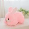 Pâques lapin Bunny Ear en peluche Toy Soft Farged Animal Doll Toys 30cm Douilles de dessins