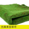 Dekorativa blommor Simulerade Green Plant Artificial Moss inomhus Landscaping Turf Wall Micro Landscape Simulation Lawn