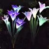 Gräsmattor Utomhus Solenergi Lampa Färgglada Lily Flower Landscape Lights Waterproof Garden Decoration för Courtyard Driveway