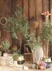 Fiori decorativi Decorazioni per la casa Pianta grande Albero Simulazione in vaso Verde oliva Decorazione natalizia per matrimoni Ornamenti da tavolo Regali nordici