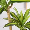 Декоративные цветы моделирование бразильского дерева эль -фальшивое железное дерево украшение зеленого растения