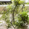 Decorative Flowers Black-bone Awn Artificial Flower Green Plant Winding Vine Fern Adiantum Landscaping