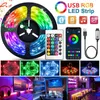 Светодиодные полоски 1-30 м Светодиодная полоска Свет RGB USB Гибкая лампа лента 2835 Диод USB-кабель управление Bluetooth DC 5V Экран Экран ТВ фоновый освещение P230315