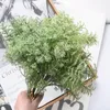 Dekorativa blommor 6pc Artificial Wormwood Plant lämplig för bröllop Diy Windows -hemdekorationsdekoration