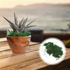 Decorative Flowers Artificial House Plants Pond Flower Pots Indoor Fake Vines Outdoor Preserved Forest Grass