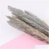 Decorative Flowers Wreaths 15Pcs Brush Natural Dried Small Pampas Grass Phragmites Flower Bunch 3 Colors For Home Decor1 D Dhkzh