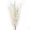 장식 꽃 화환 15Pcs 브러시 자연 건조 작은 팜파스 잔디 Phragmites 꽃 무리 3 색 홈 Decor1 D Dhkzh