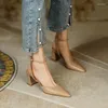 Dress Shoes Niche Design High Heels French All-match Thick Heel Sandals Women Fashion Pointed Toe Gladiator 2023