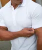 Men's Polos Men Sport Tee Polos T-shirt Top Top Fitness Blouse de manga curta Casual Fit Smumm Summer Bodybuilding de academia respirável 230316