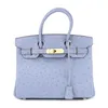 Devekuşu tasarımcı platin çanta sırt çantaları kapasite el lüks nadir kadın çantası orijinal deri