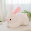 Pâques lapin Bunny Ear en peluche Toy Soft Farged Animal Doll Toys 30cm Douilles de dessins