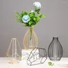 Vases Geometric Iron Line Flowers Vase Terrarium Simple Retro Metal Plant Holder Modern Nordic Hydroponic Wrought