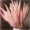 Decorative Flowers Wreaths 15Pcs Brush Natural Dried Small Pampas Grass Phragmites Flower Bunch 3 Colors For Home Decor1 D Dhkzh
