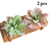 Flores decorativas 2pcs Plantas suculentas artificiais Aloe Zebrina paisagem Fake Flower Flower Garden Decoration Acessórios