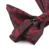 Nœuds papillon Huishi Homme Bowtie Soie Paisley Big Bowties pour hommes Colliers Cravats Femmes Blouse Bowknot Jacquard Mariage Business