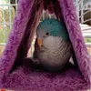 توصيل الطيور الأخرى الأزياء الأليفة ببغاء أقفاص دافئة السرير خيمة كوخ أرجوحة معلقة كهف للنوم والفقس