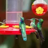 Autres fournitures pour oiseaux Bouteille d'alimentation en eau en plastique Colibri Poignée Jardin Ports d'abreuvoir extérieur Alimentation S7V0
