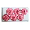 الزهور المجففة 6pcs/صندوق محفوظات وردة زهرة طازجة من الفئة B 56 سم الورود المصنوعة يدويًا ترتيبًا أبديًا Y0104
