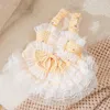 Chien Vêtements Petite Princesse Robe Pet Vêtements Automne Hiver Laine À Carreaux Jupe Chat Douce Dentelle Gilet Chiot Bowknot Manteau Chihuahua Yorkshire