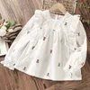 Kids Shirts Toddle Kids Ruffle Shirts for Girls Blouses Chiffon Spring Autumn Long sleeve Baby Children Clothes for Teenagers 2 4 6 8 Years 230317