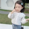 キッズシャツホワイトレースガールズブルーズ春秋コットン長袖の子供のための長袖シャツかわいい女の赤ちゃんブラウスシャツトップ2 3 4 5 6 7 8年230317