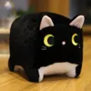Explosives Animal Square Cat Toy Plush Toy Cat Puppy Doll Cat Doll