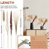 Decorative Flowers BMDT-Boho Decor Pampas Grass 70Pcs 17 Inch Dried Pompous Pampass Plants For Boho Home Bar