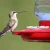 Andere Vogelbedarf 10 Stück Kolibri-Futterspender Ersatzblumen Outdoor-Kunststoff-Futteröffnungen Teile für die hängende Verwendung von Futterhäuschen