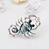 Brooches Natural Shell Scorpion Lovely Animal Bejeweled For Women Dress Scarf Brooch Pins Jewelry Coat Accessories Gift