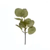 Decoratieve bloemen Home Decoratie Wedding Party Leveringen Planten Wall Artificial Eucalyptus Bladeren Bloemen Arrangement Lifely Apple Leaf