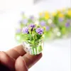 Flores decorativas 1:12 Modelo de planta de vidro hidropônico de vidro hidropônico de bonecas