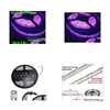 LED paski LED 2016 Purple Pasek Light 5M 16ft 3528 SMD Super jasny 48W Wodoodporny elastyczny 12V/M Lights Dostarczanie Lights Holida DHD2L