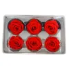 Torkade blommor 6st/låda bevarade färska rosblommor Klass B 56 cm rosor handgjorda diy evigt arrangemang y0104 droppleverans Hom Dhghe