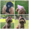 Psa odzież pet cat czapki szczeniaki Summer Solid Oxford Cap Baseball Visor Hat Outdoor Sun Bonnet Chihuahua Akcesoria