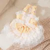 Chien Vêtements Petite Princesse Robe Pet Vêtements Automne Hiver Laine À Carreaux Jupe Chat Douce Dentelle Gilet Chiot Bowknot Manteau Chihuahua Yorkshire