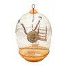 Cages à oiseaux peau de tigre Xuanfeng petit soleil perroquet Cage ronde luxe doré Myna Wren métal maisons accessoires fournitures pour animaux de compagnie