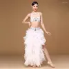 Tenue de scène !! Vêtements de danse pour femmes de haute qualité vêtements de danse du ventre tenue professionnelle 2 pièces soutien-gorge et jupe ensemble de costumes de danse du ventre oriental