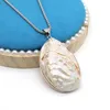 Pendentif Colliers Coquille Naturelle Collier Forme Ovale Blanc Conque Chaîne En Acier Inoxydable Pour Bijoux Femmes Cadeau